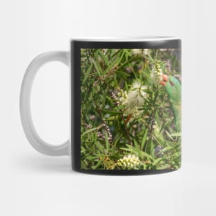 Scaly Breasted Lorikeet, Bribie Island, Queensland Mug